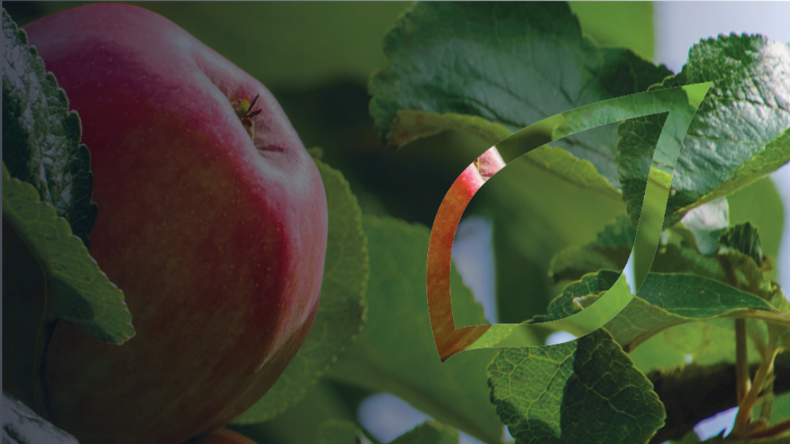 zastita-jabuke-vocaka-syngenta_1132x637_lst.png