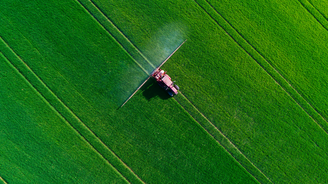 zastita-psenica-syngenta_1132x637.png