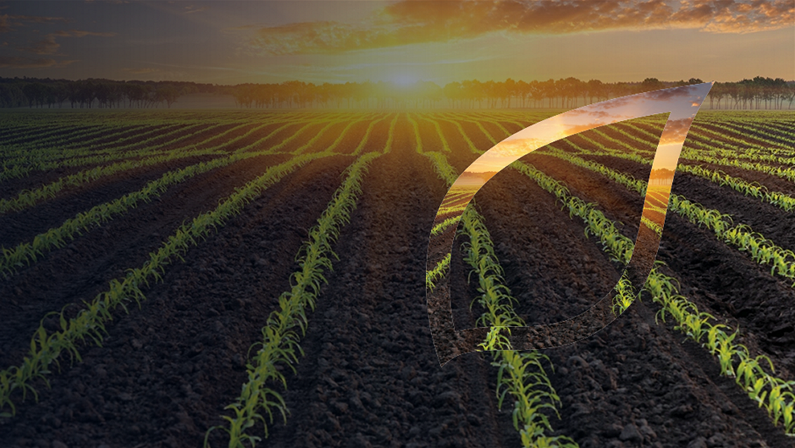 zastita-kukuruza-syngenta_1132x637_lst.png