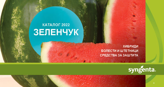 Syngenta каталог зеленчук 2022.