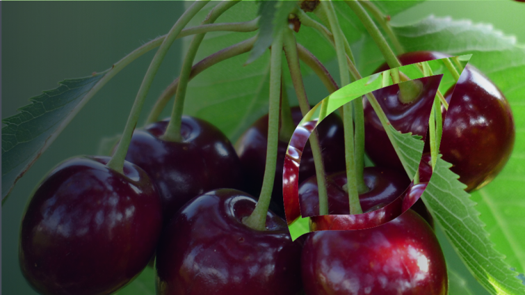 zastita-tresnje-vocaka-syngenta_1132x637_lst.png
