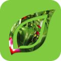 syngenta-seme-povrca_320x320_icon.png