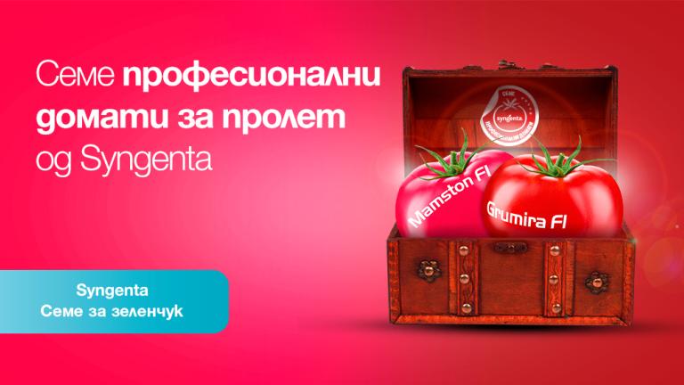 Семе домати за пролет од Syngenta.