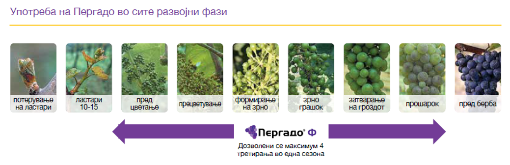 pergado-f-vinova-loza-primena-syngenta