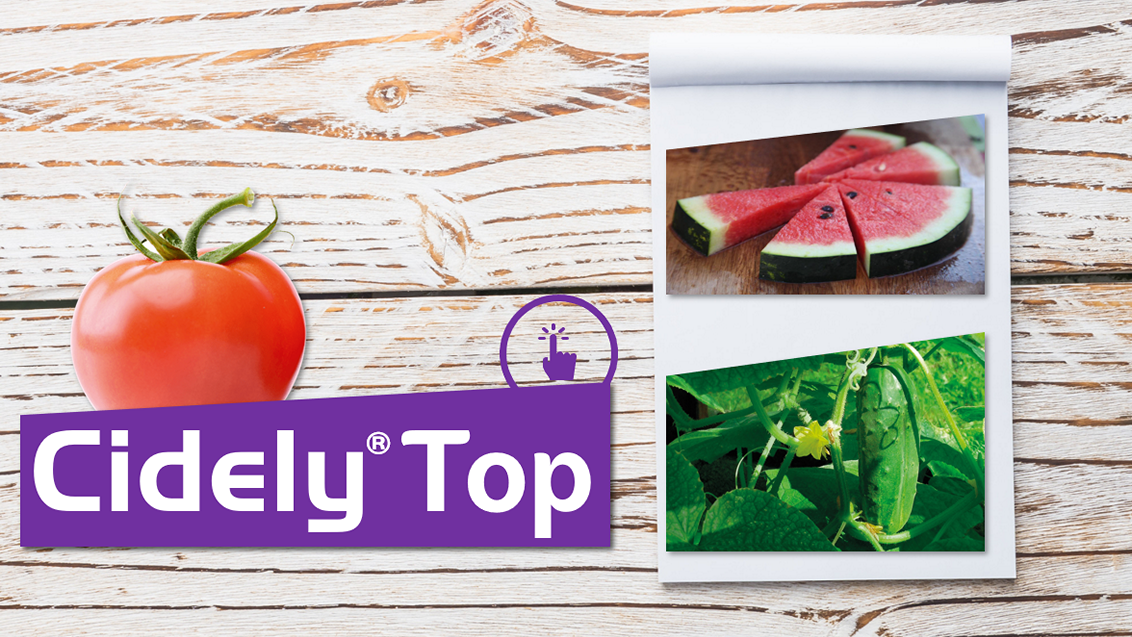 cidely-top-zastita-zelencuk