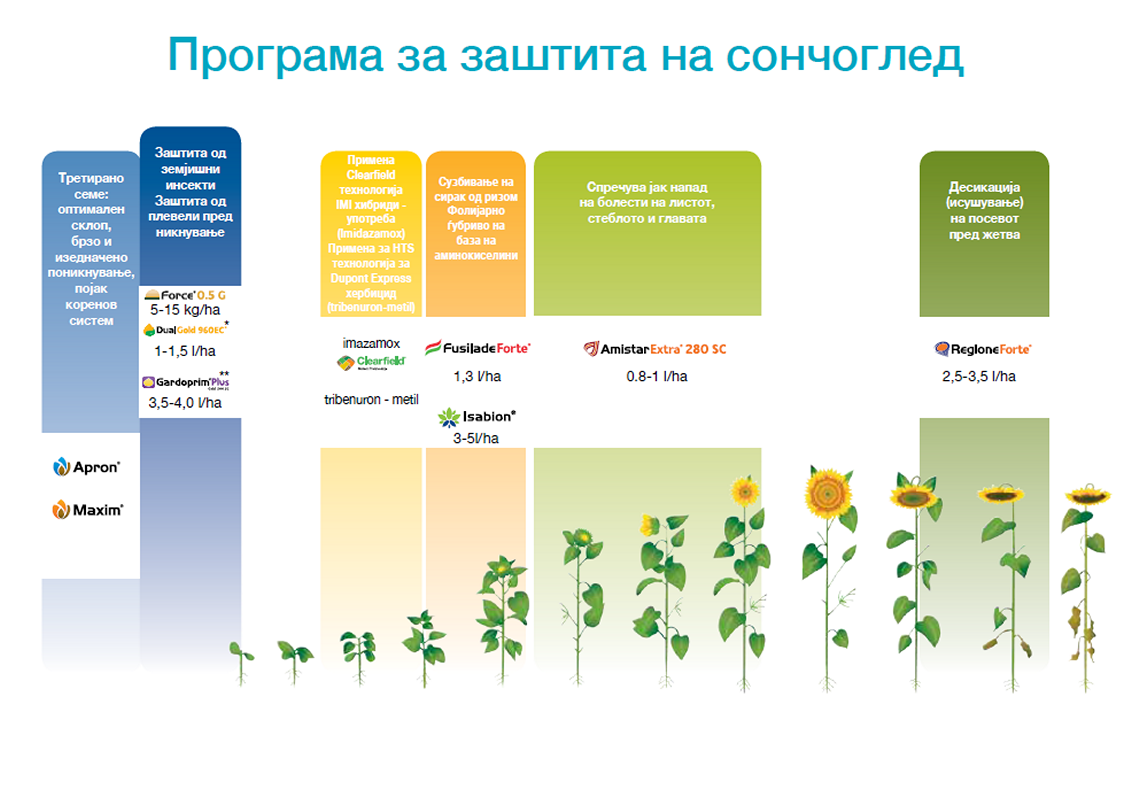 program-zastite-suncokret