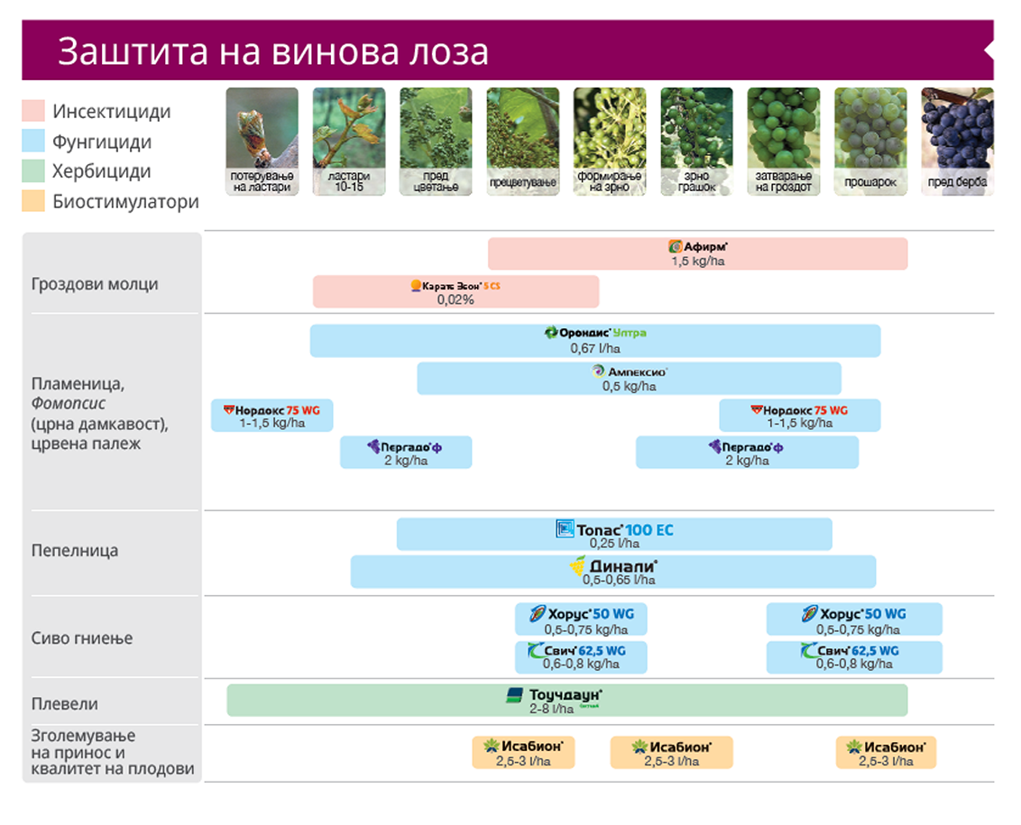 zastita-vinova-loza-syngenta_x1132_pz.png
