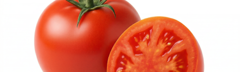 domati-syngenta_.png